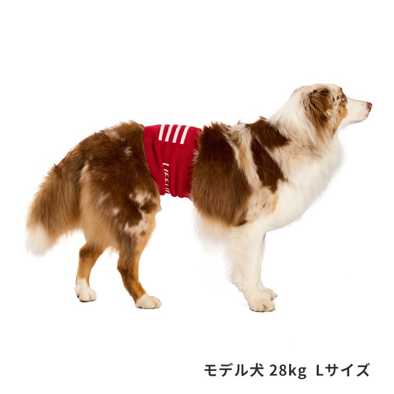 ナショナルフラッグはらまき