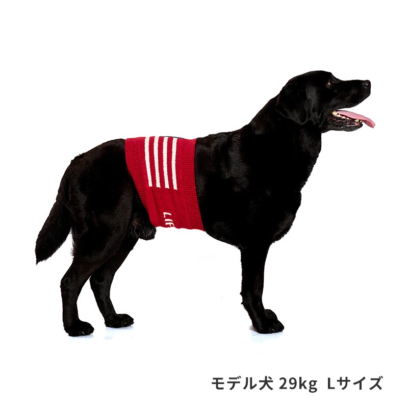 ナショナルフラッグはらまき