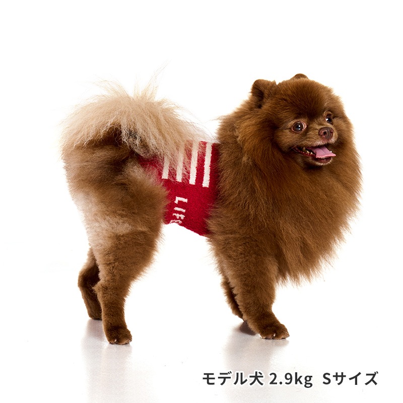 ナショナルフラッグはらまき