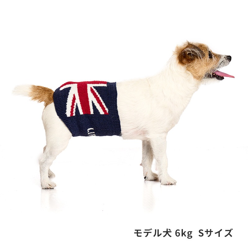 ナショナルフラッグはらまき