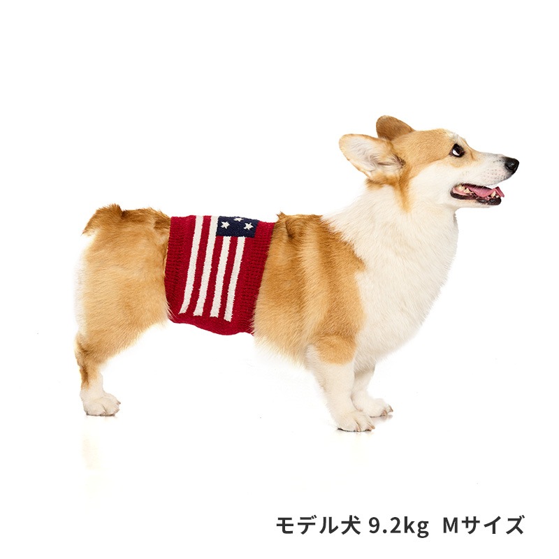 ナショナルフラッグはらまき