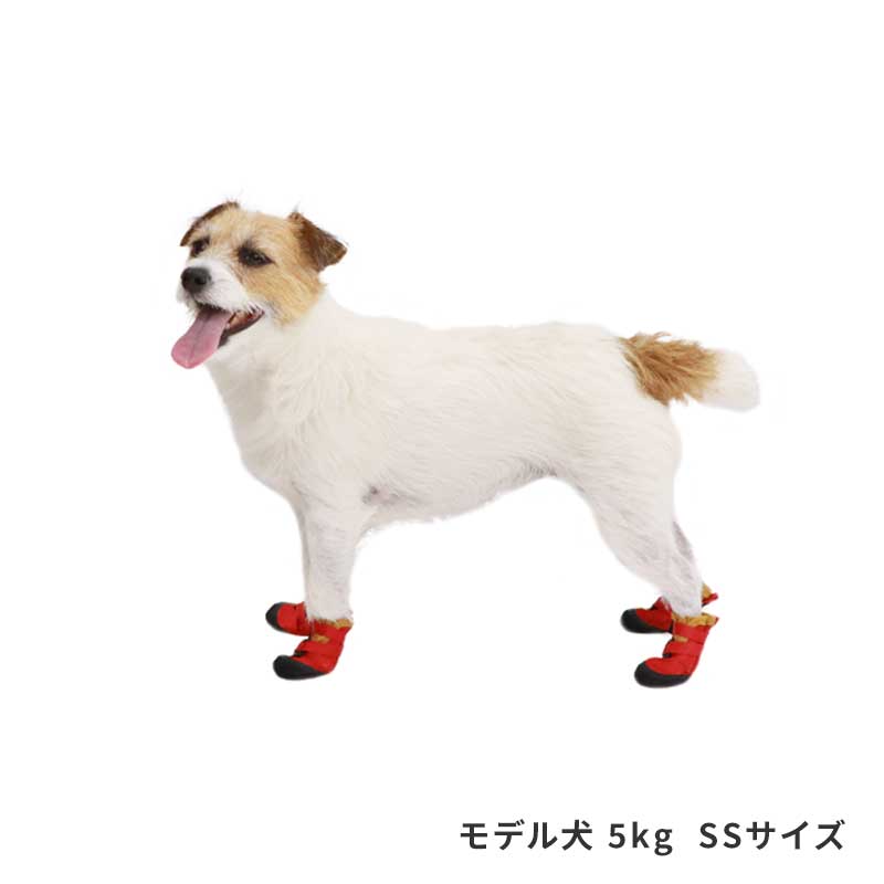 ゼットストップベルトシューズ | Others（その他）,ソックス