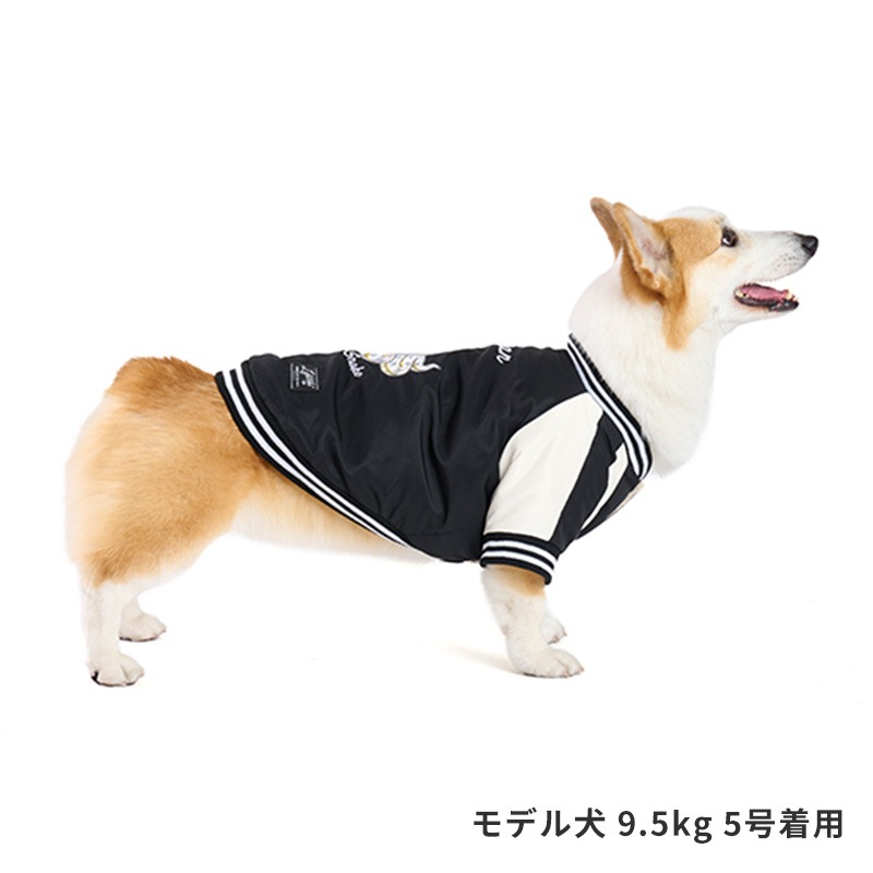 スネイクスカジャン
