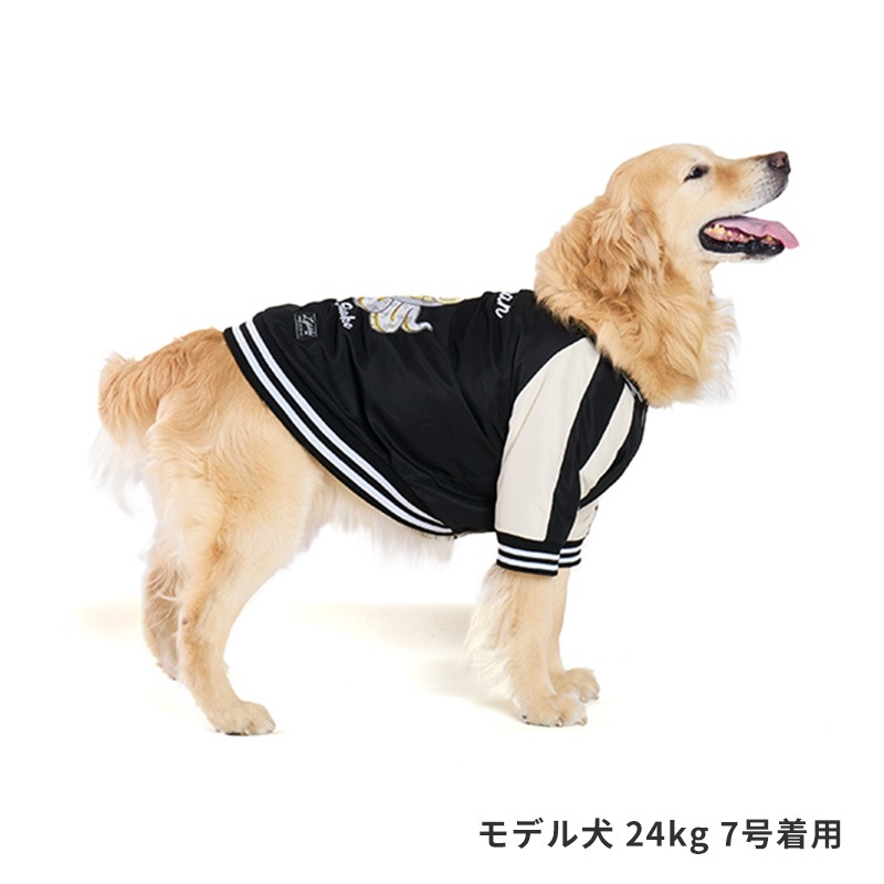 スネイクスカジャン