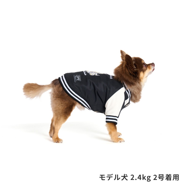 スネイクスカジャン