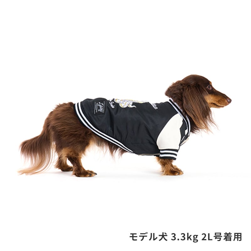 スネイクスカジャン