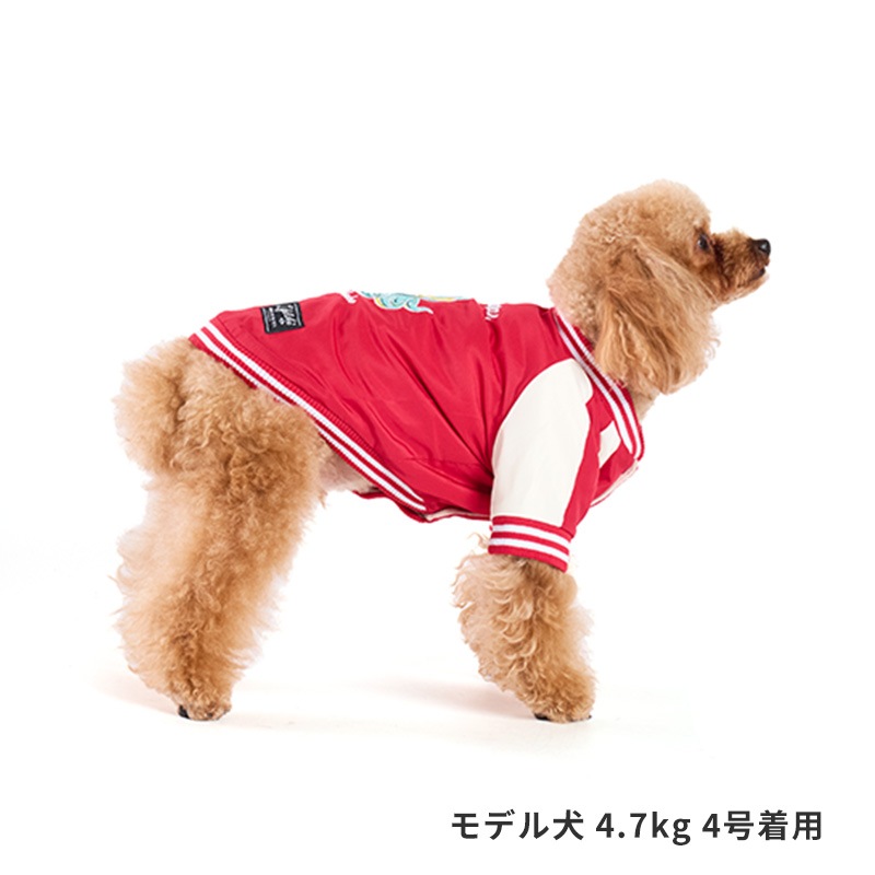 スネイクスカジャン