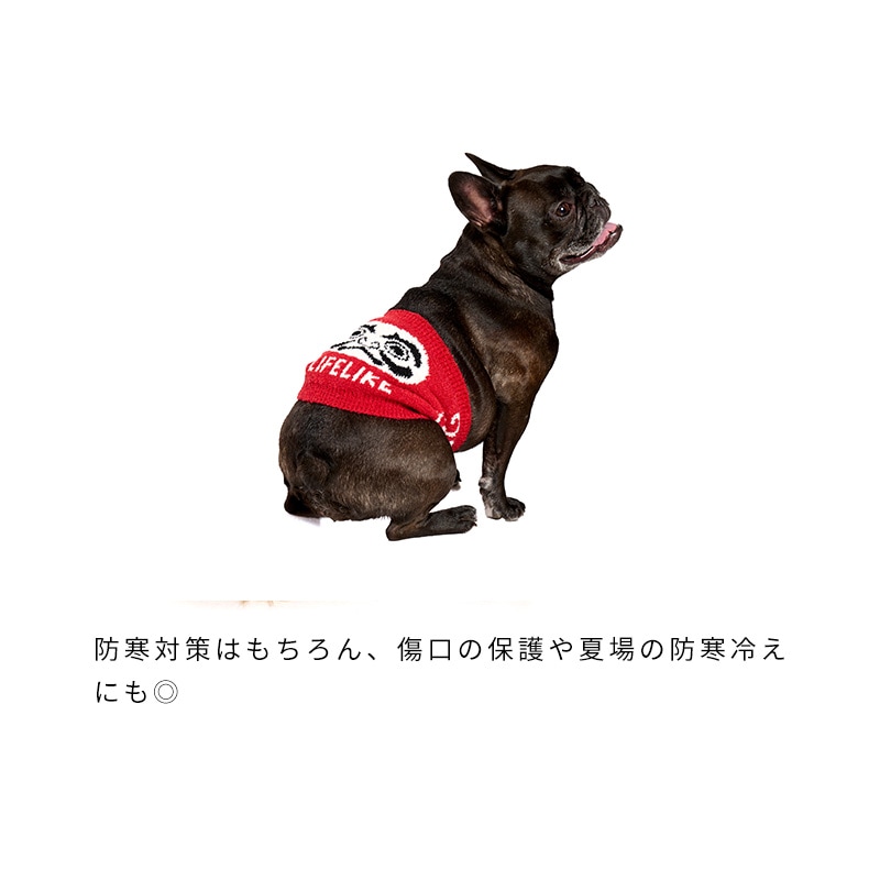 招福唐草はらまき