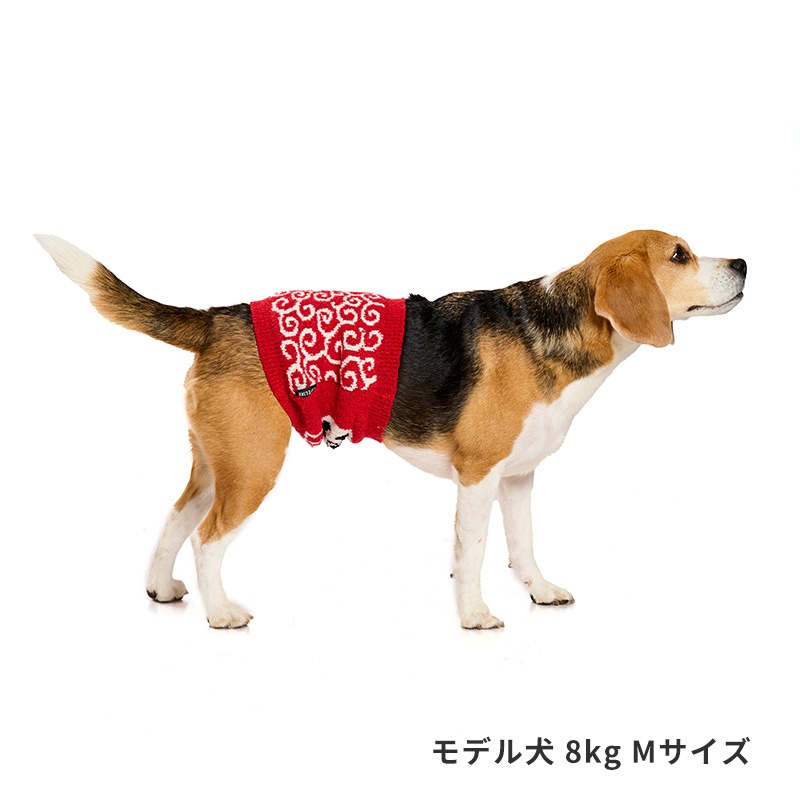 招福唐草はらまき