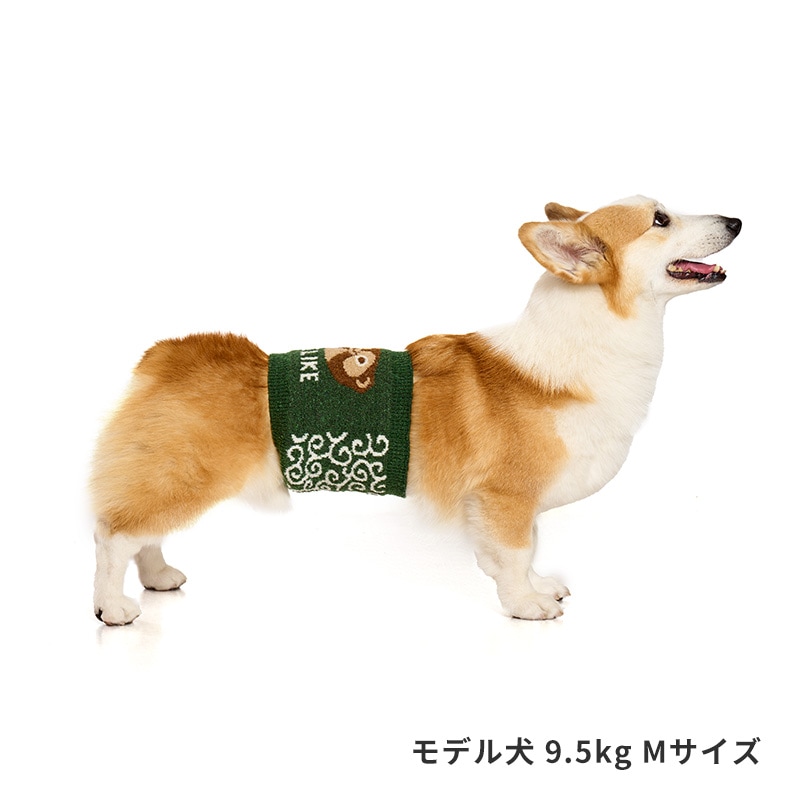 招福唐草はらまき