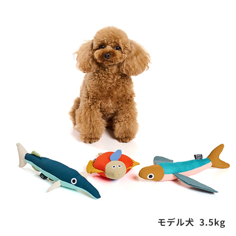 フィッシュプラッシュトイ