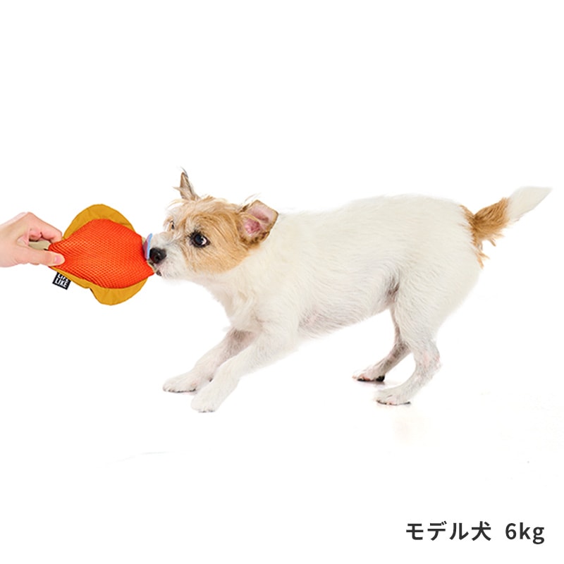 フィッシュプラッシュトイ