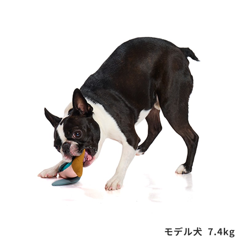 フィッシュプラッシュトイ