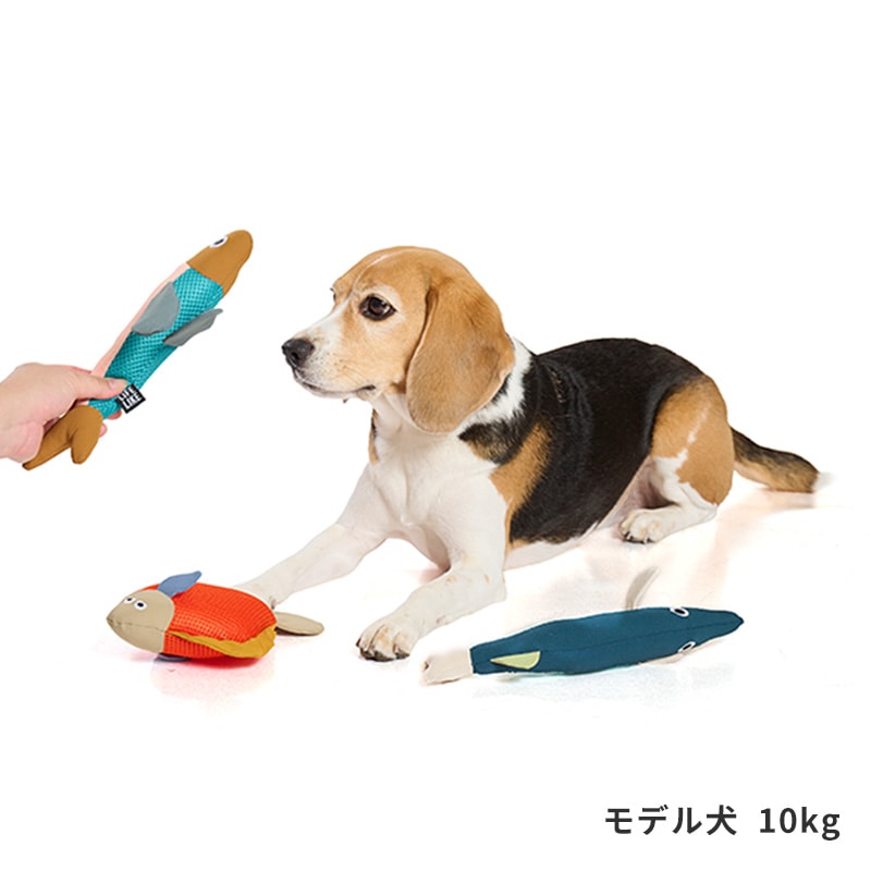 フィッシュプラッシュトイ