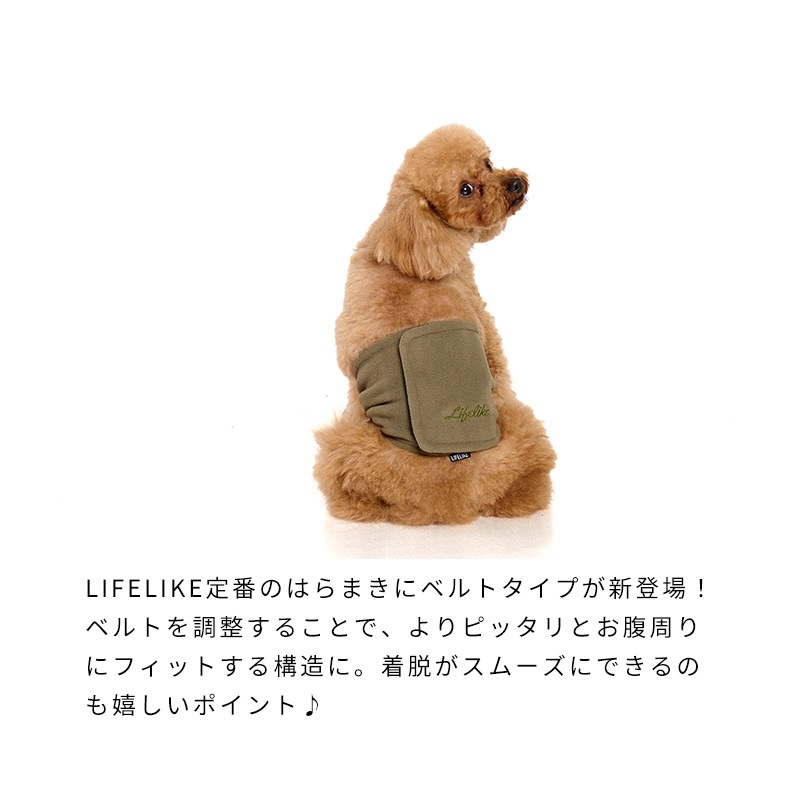 ベーシックロゴベルトはらまき