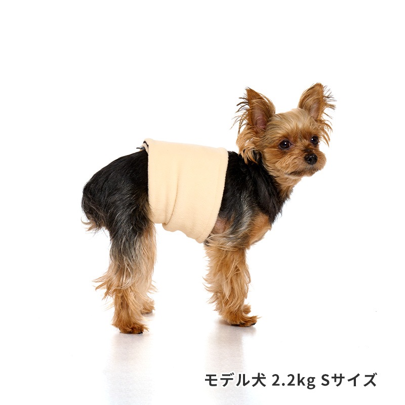 ベーシックロゴベルトはらまき