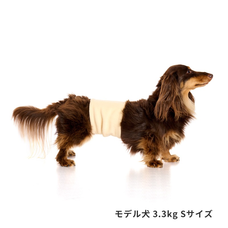 ベーシックロゴベルトはらまき