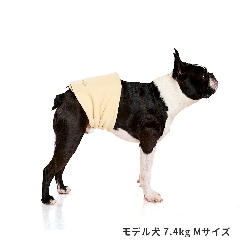 ベーシックロゴベルトはらまき