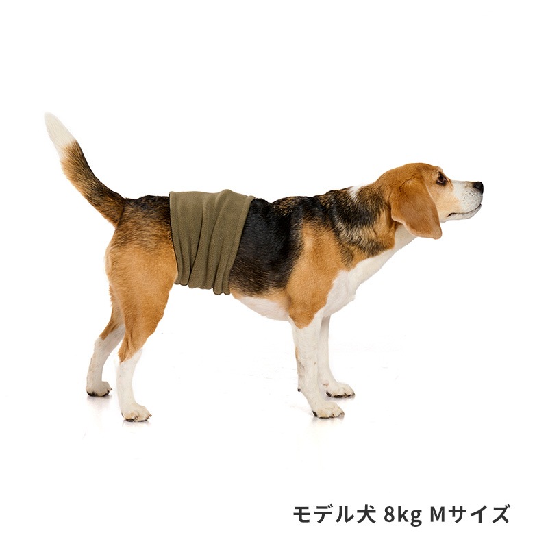 ベーシックロゴベルトはらまき