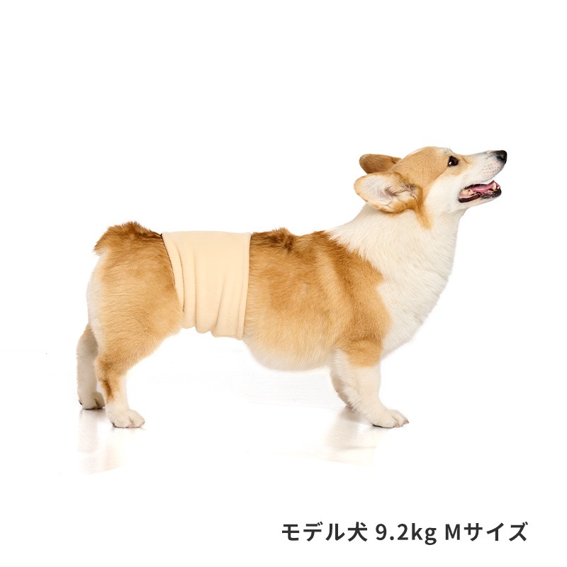 ベーシックロゴベルトはらまき