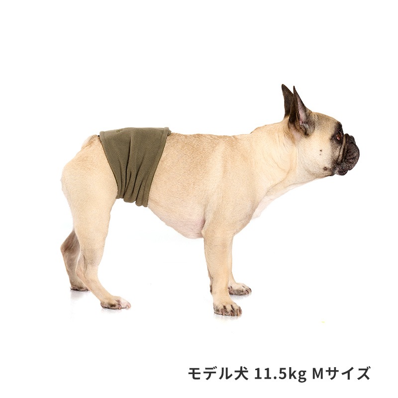 ベーシックロゴベルトはらまき