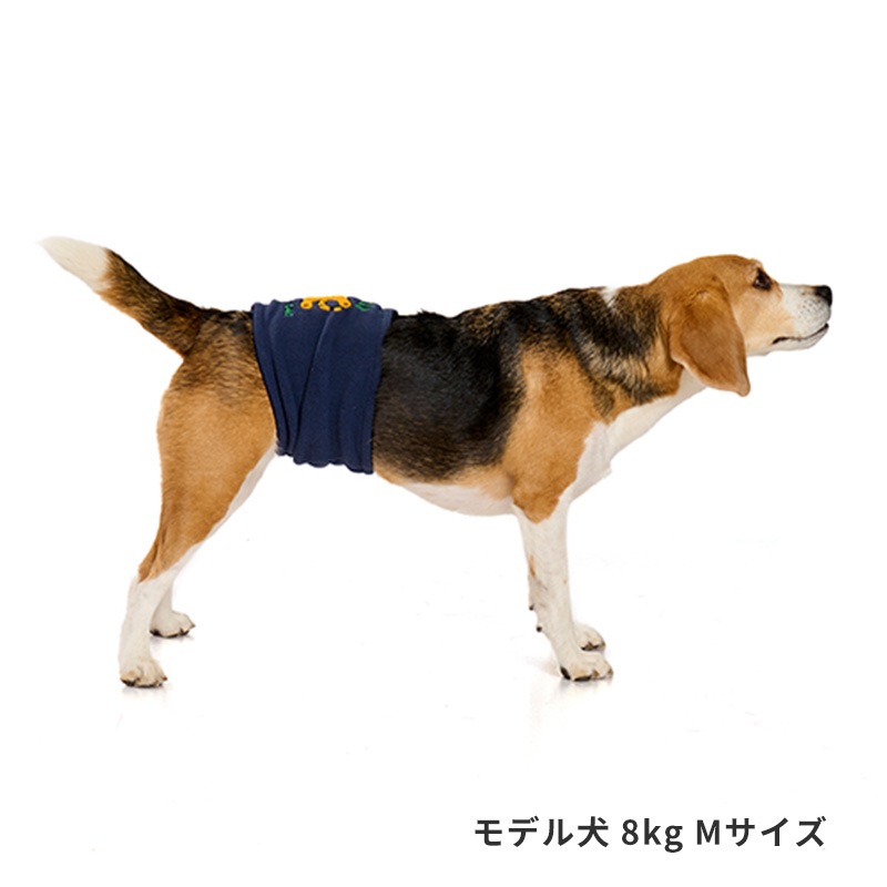 寝そべりアニマルベルトはらまき