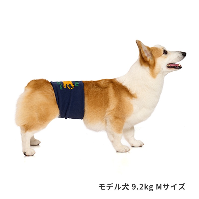 寝そべりアニマルベルトはらまき