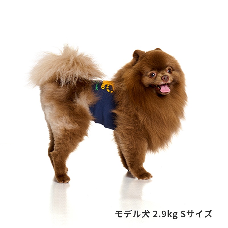 寝そべりアニマルベルトはらまき