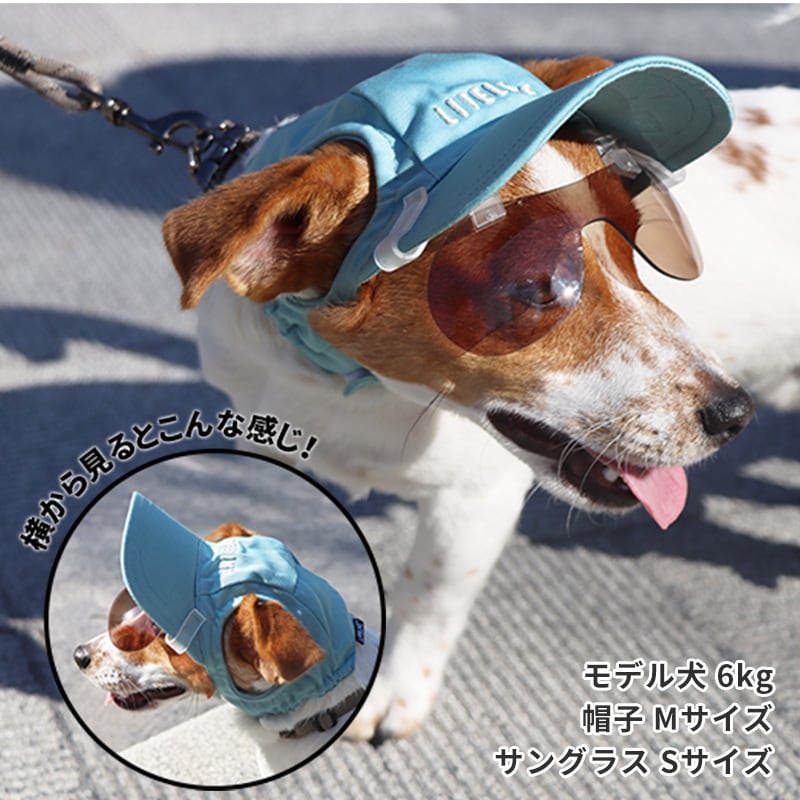 キャップクリップ調光サングラス | Others（その他） | LIFE LIKE 【犬
