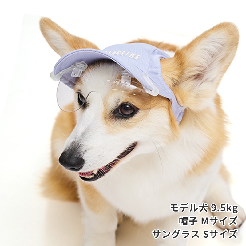 キャップクリップ調光サングラス