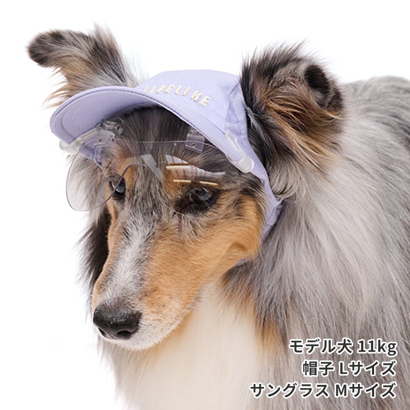 キャップクリップ調光サングラス | Others（その他） | LIFE LIKE 【犬