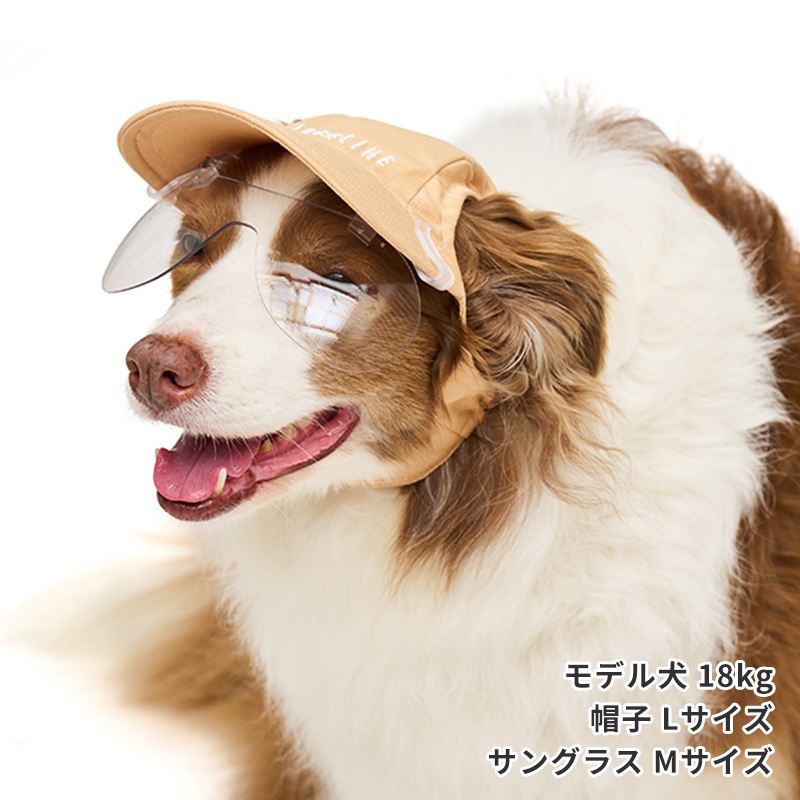 キャップクリップ調光サングラス | Others（その他） | LIFE LIKE 【犬