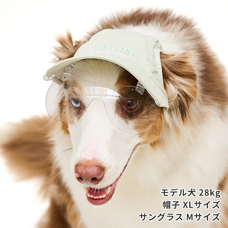 キャップクリップ調光サングラス