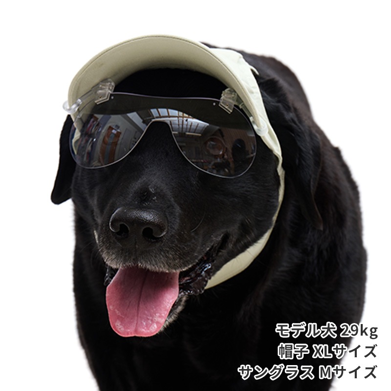キャップクリップ調光サングラス