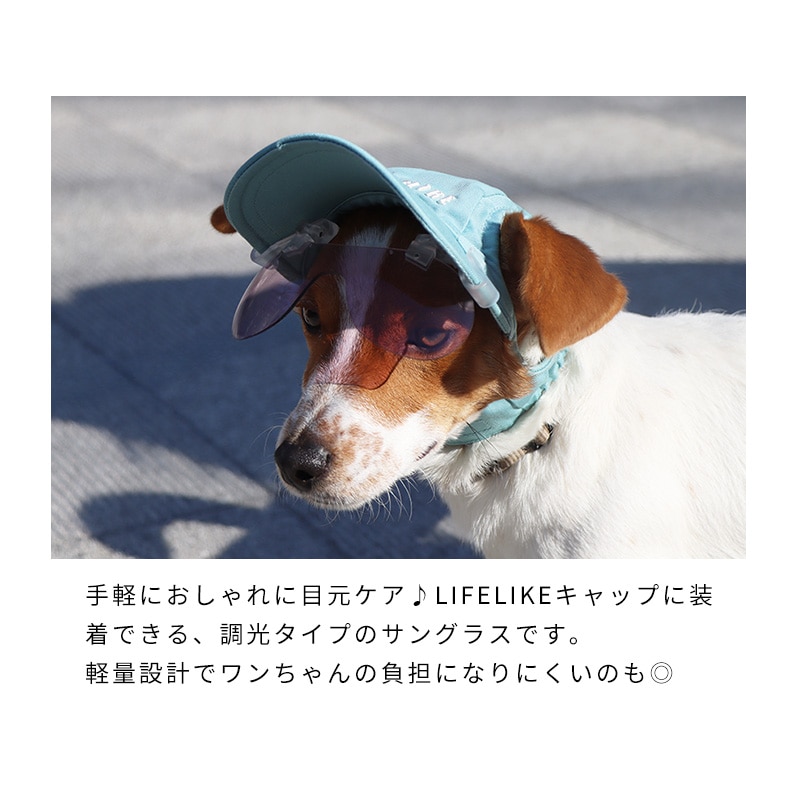 キャップクリップ調光サングラス