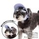 キャップクリップ調光サングラス