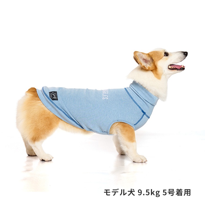 ⭐️テオアイムクール⭐️ロック⭐️XS⭐️犬服⭐️ ⭐️テオアイムクール⭐️犬服⭐️ロック⭐️XS