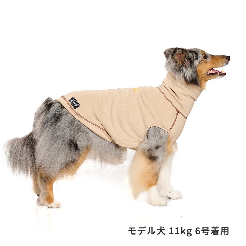 ハイネックシティーウォーム | AW Clothes（秋冬洋服） | LIFE LIKE