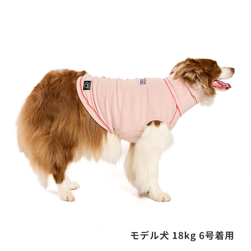 ハイネックシティーウォーム