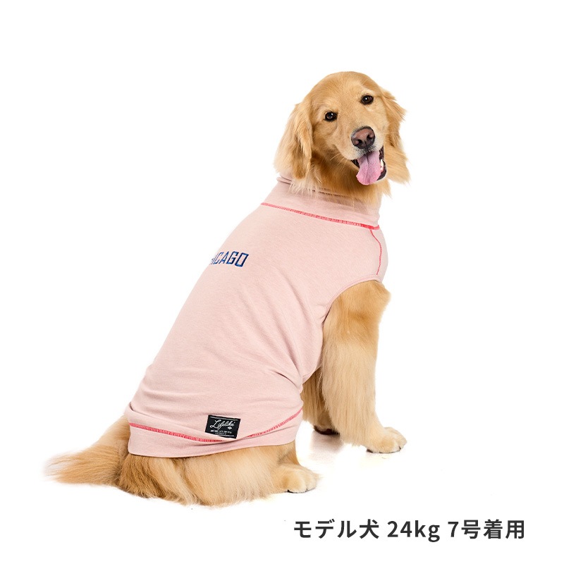 ハイネックシティーウォーム