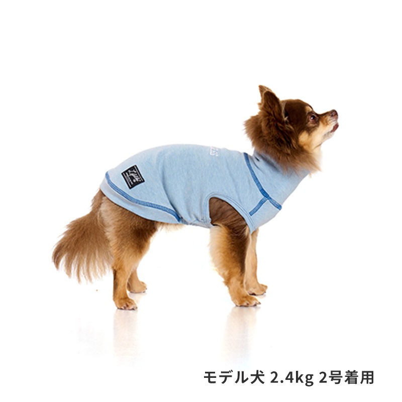 ハイネックシティーウォーム | AW Clothes（秋冬洋服）,小型犬
