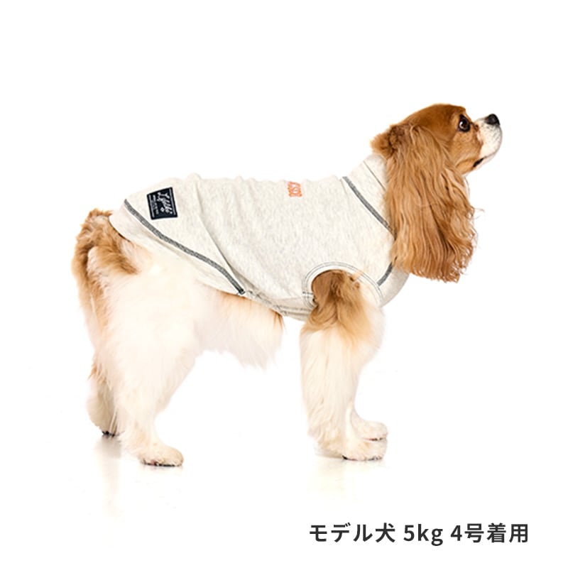 ハイネックシティーウォーム