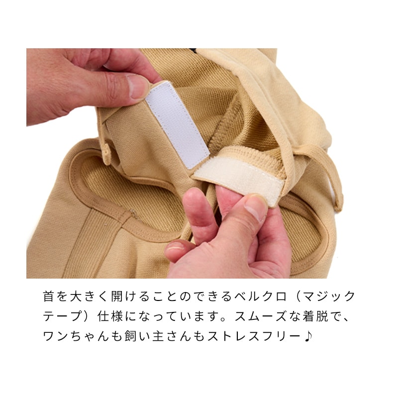 ベーシックロゴフーディー