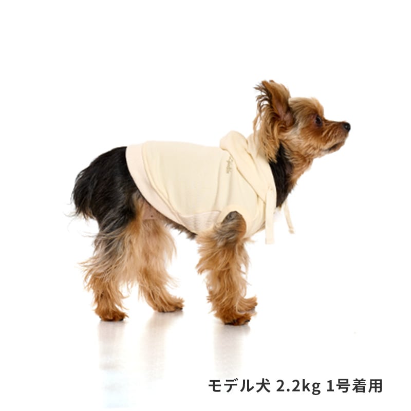 ベーシックロゴフーディー