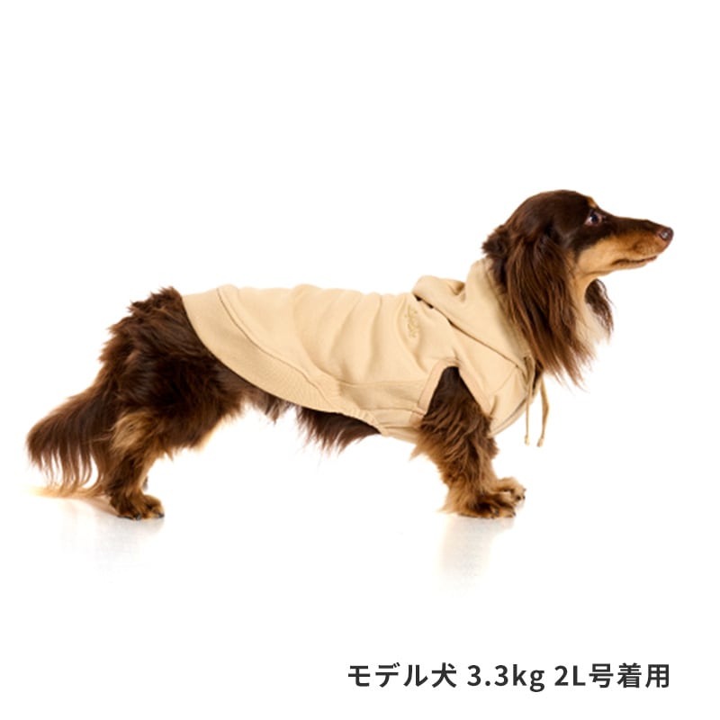 ベーシックロゴフーディー