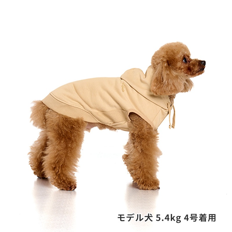 ベーシックロゴフーディー