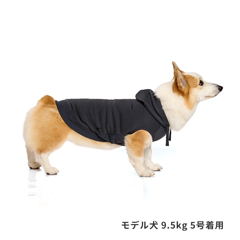 ベーシックロゴフーディー