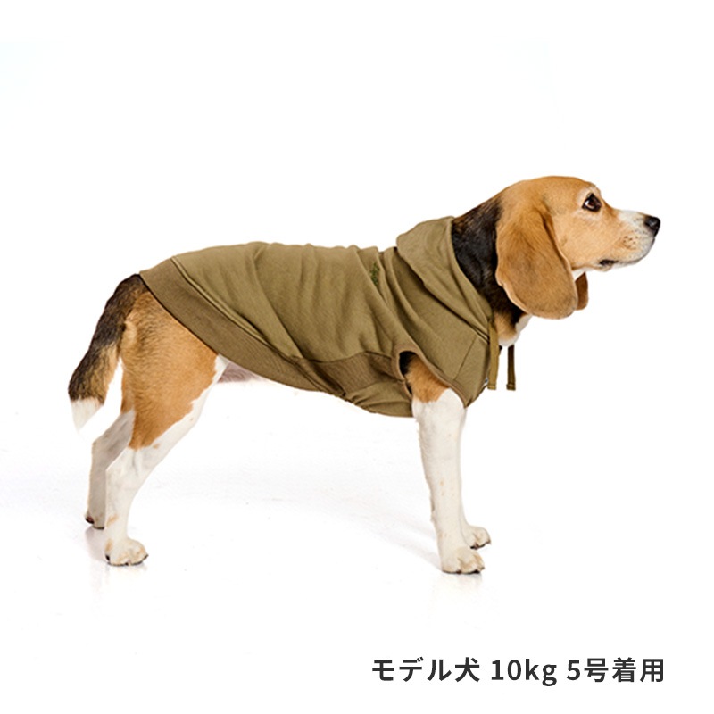 ベーシックロゴフーディー