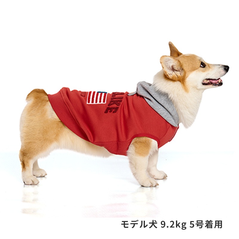 ナショナルフラッグフーディー