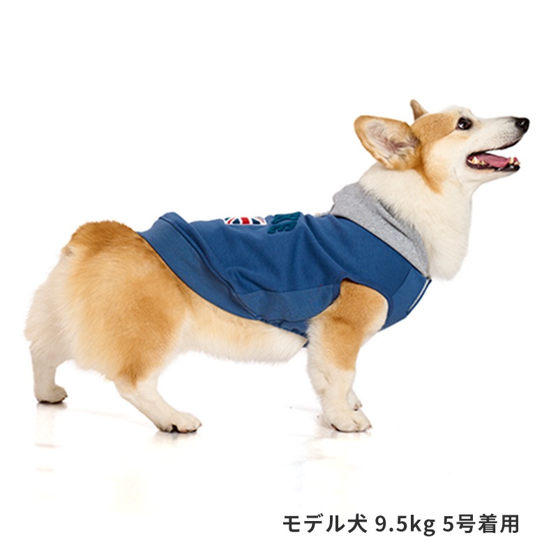 ナショナルフラッグフーディー